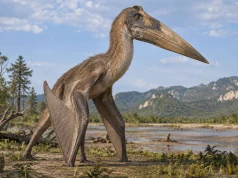 Hatzegopteryks od A do Z. Latający olbrzym z wyspy karłowatych dinozaurów