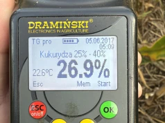 Nawet 1 procent dziennie. Ten typ ziarna oddaje wodę do 10 razy szybciej