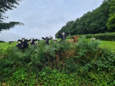Co kryje się w walijskim garnku? Polka odkrywa zapomniane smaki i tradycje