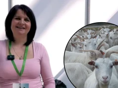 Ma 5 hektarów. Nie narzeka, że mało. Pani Agata wykorzystuje niszę