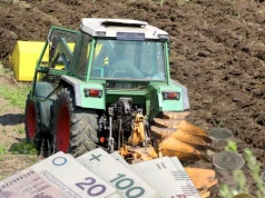 Za hektar dzierżawy nawet 2400 zł. GUS podał nowe stawki. Gdzie rolnicy płacą najwięcej?