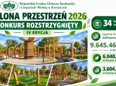 Śląskie stawia na zieleń! Ponad 9,6 mln zł na nowe inwestycje w programie Zielona Przestrzeń