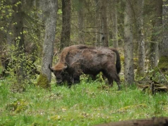 Ogólnopolska kampania „Parki Narodowe. Inwestujemy w naturę”