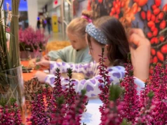 Jesień pełna kolorów i zapachów. Kreatywne warsztaty dla całej rodziny w CH Auchan Legnica