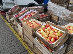 Ceny jabłek na rynku hurtowym Bronisze. Większość odmian tańsza niż na początku miesiąca