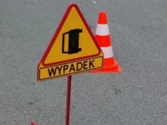 Osobówka i autobus uderzyły w łosia. Groźne zdarzenie na drodze w pobliżu Ciechanowa