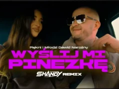 Dawid Narożny – Wyślij mi pinezkę (SHANDY Remix)