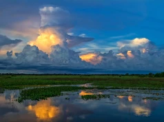 Wielkie mokradła Pantanal – Brazylia to nie tylko Amazonia