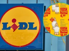 Nowe promocje w Lidlu na Wszystkich Świętych. Znicze już od 3,29 zł, promocje 3+1, a chryzantemy dosłownie za grosze