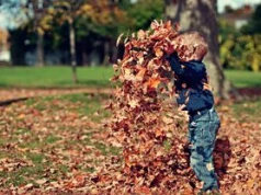 Większość robi to jesienią. Ekspert ostrzega przed skutkami