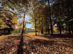 79 drzew do usunięcia, tysiące roślin do posadzenia. Tak odmienią park w Radzyniu