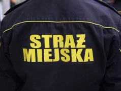 Logika ZDM. Za odstający na 2 cm szyld 40 tys. zł kary, za to nieformalny komis na publicznym terenie to nie problem. Straż Miejska bezradna