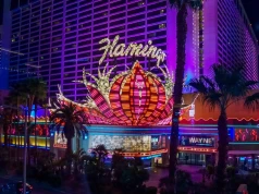 Turysta zabrał flaminga do pokoju w Las Vegas. Przed sądem mówił o "głupim żarcie"