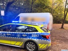 Legnica: Poranna kontrola i pozytywny test narkotykowy. 21-letni kierowca stracił prawo jazdy