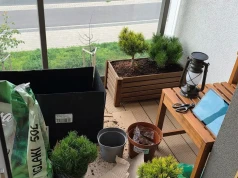 Oddałem balkon w ręce AI. W miesiąc zrobiła ze mnie ogrodnika od zera