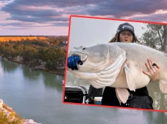 Co za połów! Złowił rybę o długości ponad 135 cm. Pobił rekord Australii