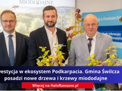 Inwestycja w ekosystem Podkarpacia. Gmina Świlcza posadzi nowe drzewa i krzewy miododajne