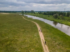 Susza daje się we znaki Warcie. Coraz mniej wody i dużych ryb w okolicach Sieradza