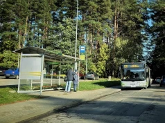 Olsztyn: Jak dojechać na cmentarze we Wszystkich Świętych? ZDZiT uruchamia specjalne linie i zmienia rozkłady