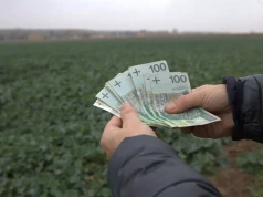 Czynsz dzierżawny a emerytura z KRUS. Czy może obniżyć to świadczenie?