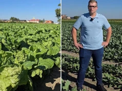 Zaczynał od 1,5 ha, dziś ma 70 ha warzyw. „Wystarczą dwa dni i zaczyna się problem”