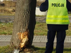 Jest decyzja w sprawie sędziego, podejrzanego o wjechanie po pijanemu autem w drzewo. Uchylono mu immunitet