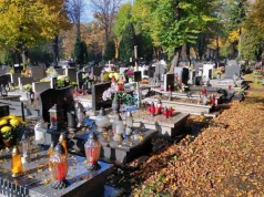 Wrzuć to do wazonu na grobie. Kwiaty mogą zachować świeżość dłużej