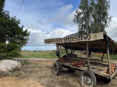 Drewniany wóz, owoce i skarbonka. W Skrzeszewie sprzedaż oparta jest na zaufaniu