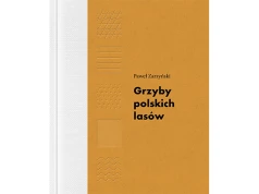 Grzyby polskich lasów