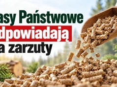 Dlaczego pellet tak podrożał? Lasy Państwowe wyjaśniają przyczyny wzrostu cen