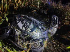 Tragiczny wypadek. BMW zderzyło się z łosiem i dachowało. Nie żyje 24-latek