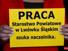 Starostwo Powiatowe w Lwówku Śląskim szuka naczelnika. Ile można zarobić?