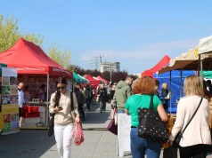 Święto lokalnych smaków w Parku Papieskim. 24. edycja Podkarpackiego Bazarku