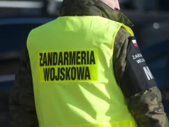 Niezidentyfikowany obiekt spadł na posesję na Podkarpaciu. Na miejscu pracują służby