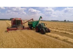 "Złote kolby". Straty na 100 tys. Sprawca przyznał, czemu to zrobił