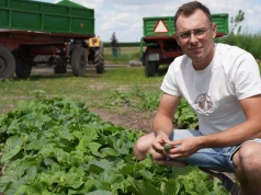 Młody rolnik rozwija gospodarstwo rodziców. Jego pomysł przyniósł dodatkowe zyski