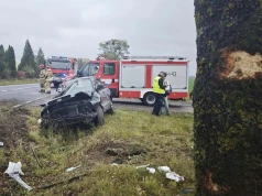 Uderzył samochodem w drzewo. 40-latek trafił do szpitala