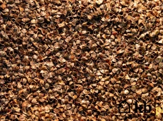 Zamiast pelletu wsypują do pieca coś zupełnie innego. Tona kosztuje zaledwie 850 zł