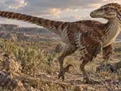 Welociraptor od A do Z. Sierpowaty pazur, pióra i niezwykłe odkrycia z pustyni Gobi
