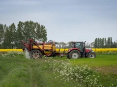 Ceny produktów rolnych spadły o 12,6%. GUS opublikował dane