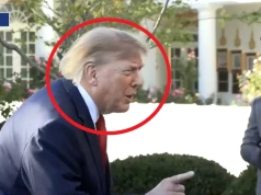 Sceny pod Białym Domem, Trump wściekł się na dziennikarkę. Żenujący atak! „Jesteś głupią osobą”