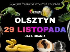 Gady, pająki i 7-metrowy T-Rex. Niezwykłe targi już 29 listopada w Olsztynie