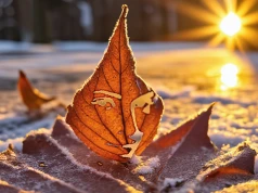 Jesienna iluminacja na skraju przemiany