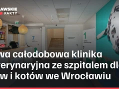 Nowa całodobowa klinika weterynaryjna ze szpitalem dla psów i kotów we Wrocławiu