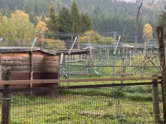 ZOO Łączna – kiedy otwarcie? Radni apelują, prokuratura zapowiada zmiany. Co wydarzyło się 22 października?