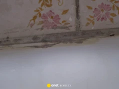 Jak usunąć pleśń z fug w łazience? Trik z papierem toaletowym