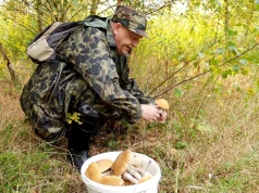 Grzybobranie za granicą? Tu zbierzesz dużo, a zapłacisz mało
