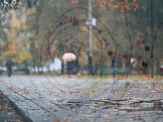 Cieszmy się złotą jesienią. Nadciąga cyklon i wszystko się zmieni