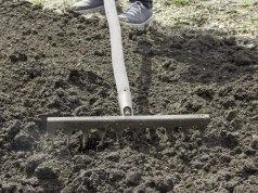 Tani jak barszcz użyźniacz gleby. Nie chodzi o kompost ani obornik