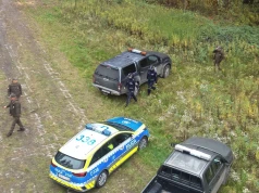 Nielegalnie wycinają gałęzie na ozdoby cmentarne. W całym regionie trwają kontrole lasów